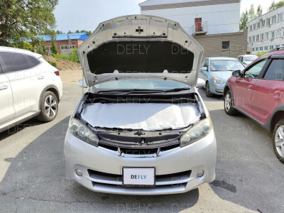 Автоодеяло модельное Toyota Wish II, (XE20), 2009-2017