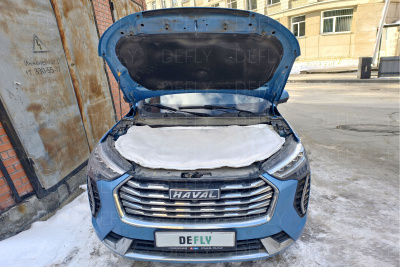 Автоодеяло модельное Haval Jolion, 2020-н.в.