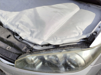 Автоодеяло модельное Toyota Wish II, (XE20), 2009-2017