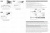Дефлектор капота Original Mitsubishi Outlander XL (Европа 2006-2009, Япония 2005-2012) Дефлектор капота Original Mitsubishi Outlander XL (Европа 2006-2009, Япония 2005-2012)